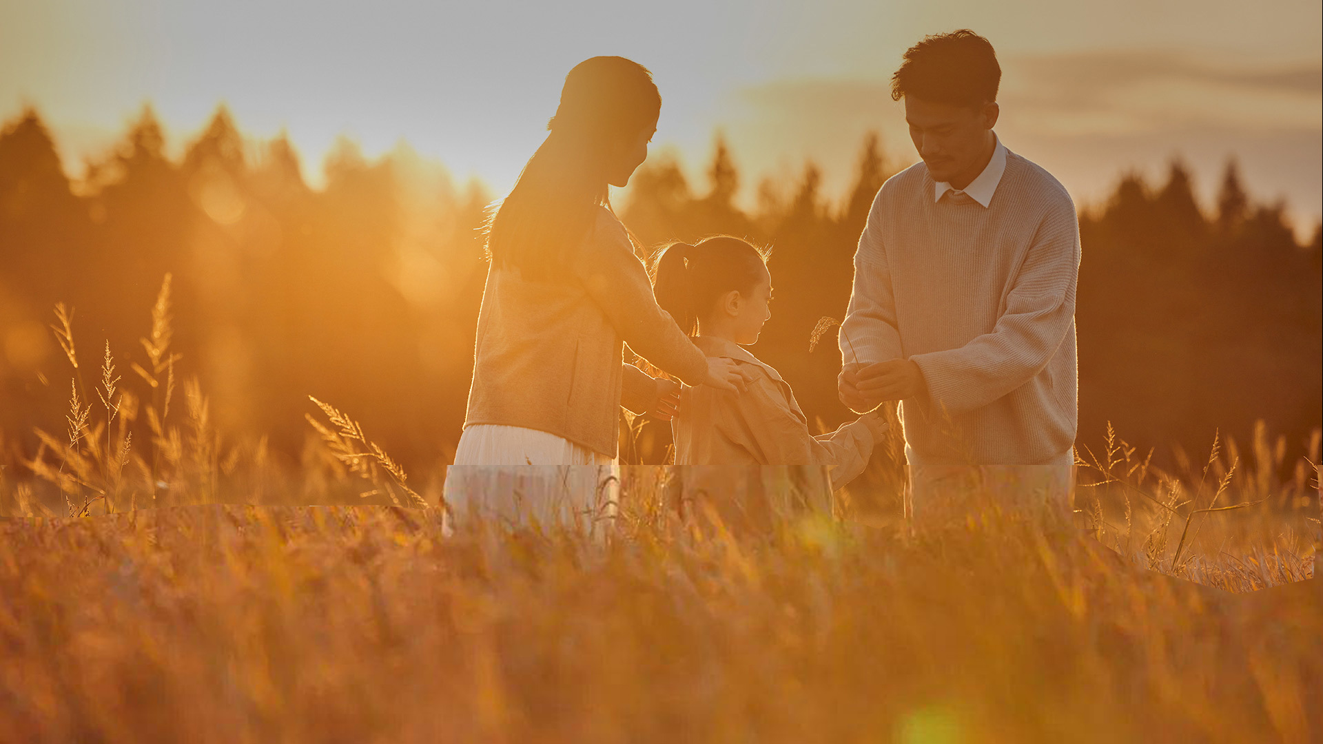 循自然 尊农法 食本味，创建绿色有机米业的诚信品牌